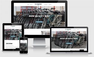 sito web one page produzione vendita assistenza bici biciclette silingardiu bagnolo san vito mantova