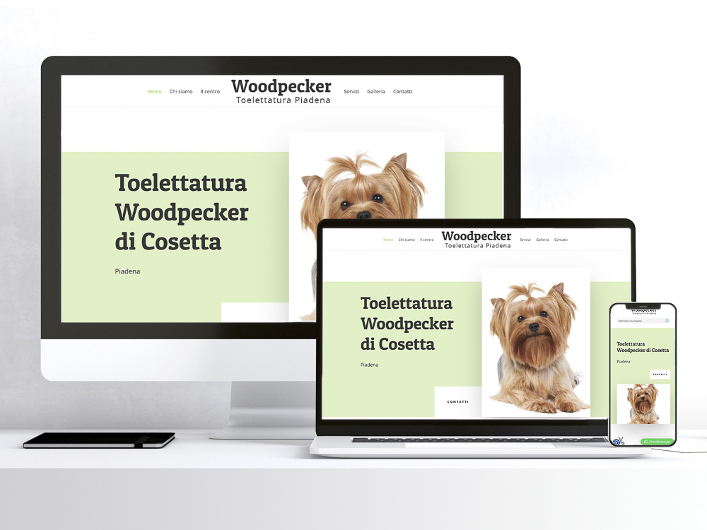 realizzazione siti web lombardia